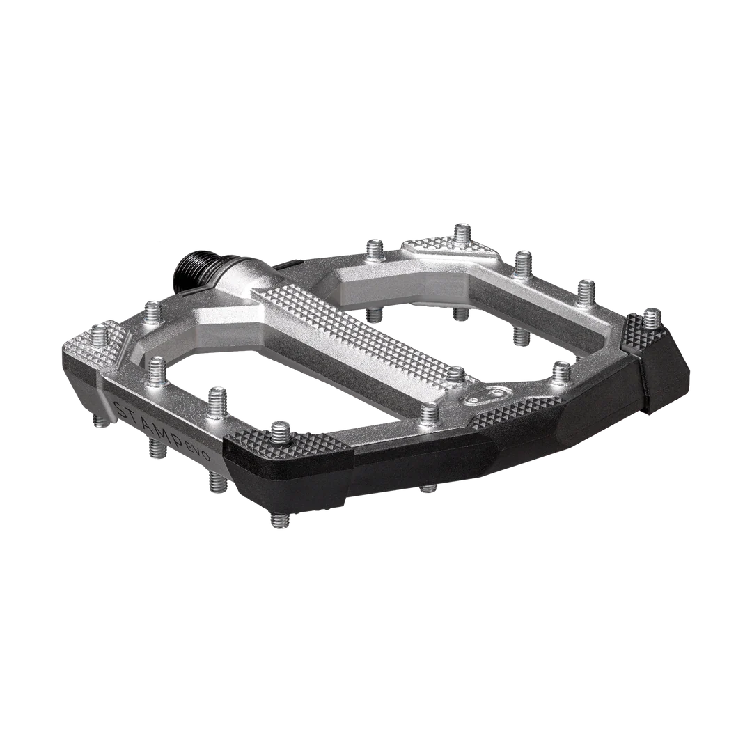 CRANKBROTHERS STAMP EVO Kleine platte pedalen Zilver