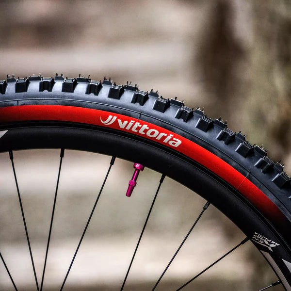 VITTORIA MAZZA ENDURO RACE 29x2.60 Graphene/Silica Tubeless Ready Zacht Zwarte band