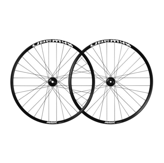 Paar MAVIC DEEMAX PARK 29" wielen 15x110mm/12x148mm Boost