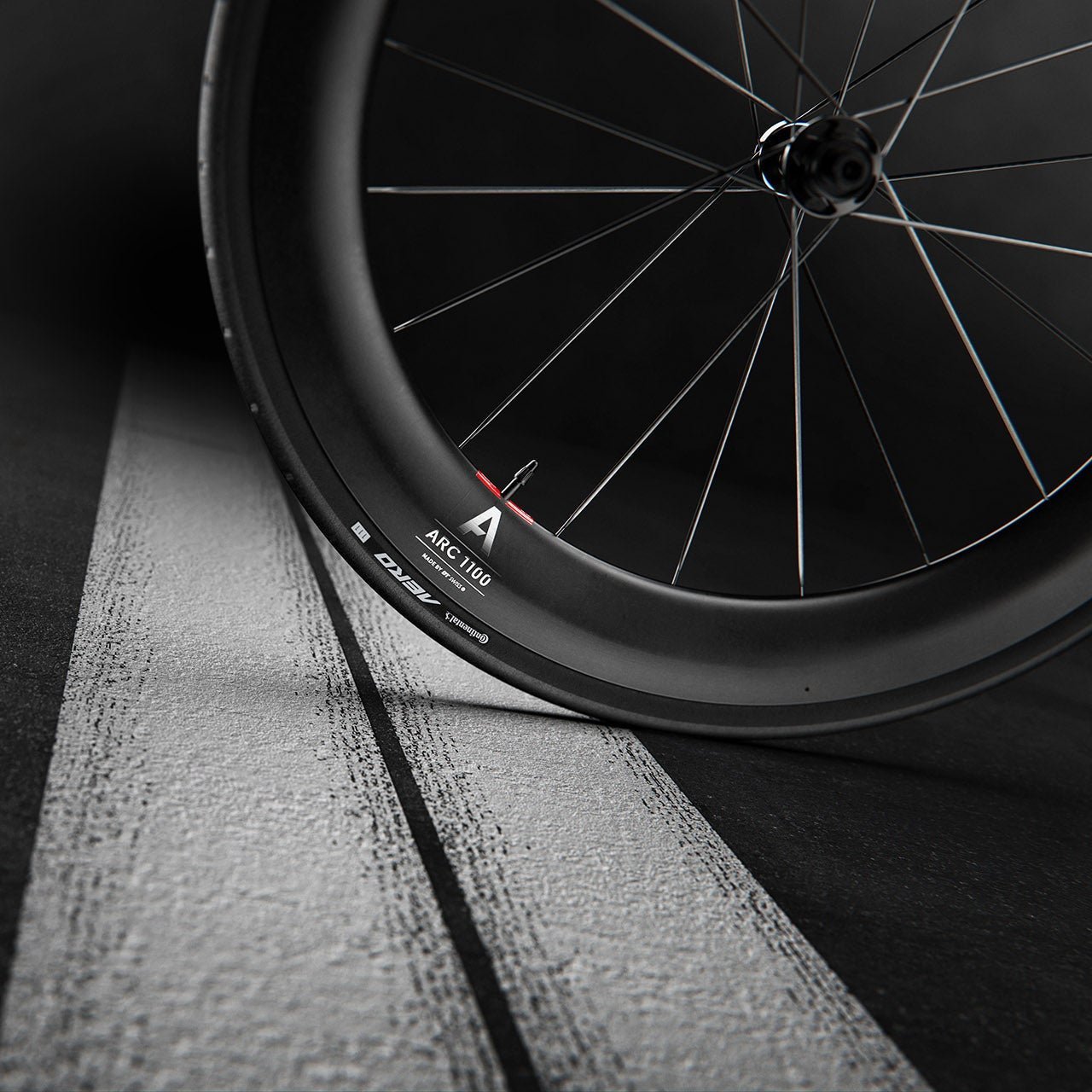 Paar DT SWISS ARC 1100 DICUT WTS 55 Tubeless Ready wielen (Center Lock)